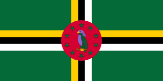 Flag to identify